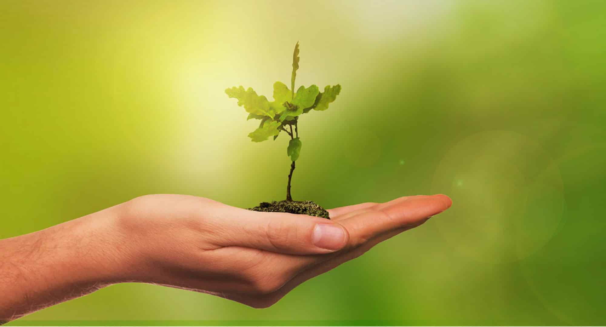 Chat verkkosivuille ja online -myynti kasvuun